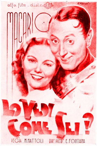 Lo vedi come sei...lo vedi come sei? poster