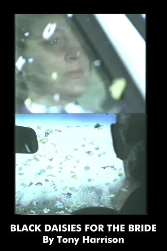 Black Daisies For The Bride poster