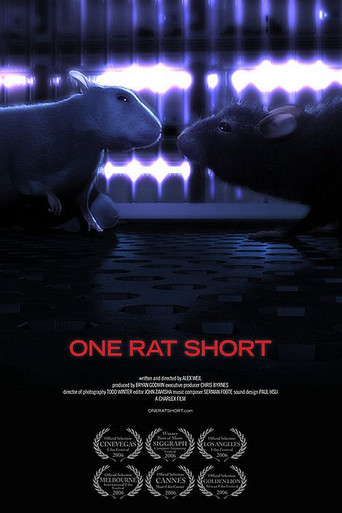 One Rat Short poster
