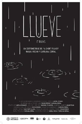 It Rains poster