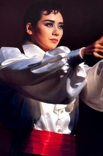 The Red and the Black poster