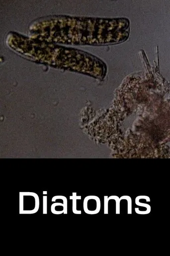 Diatoms poster