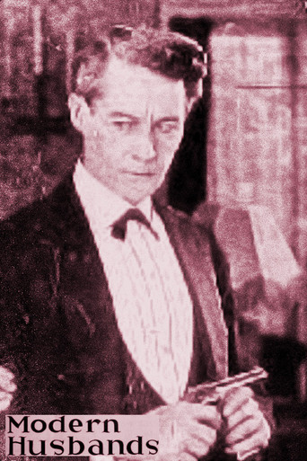 Modern Husbands poster