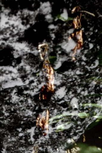 La Colle Falls poster