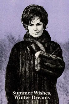 Summer Wishes, Winter Dreams poster