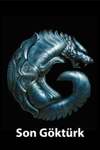 The Last Gokturk poster