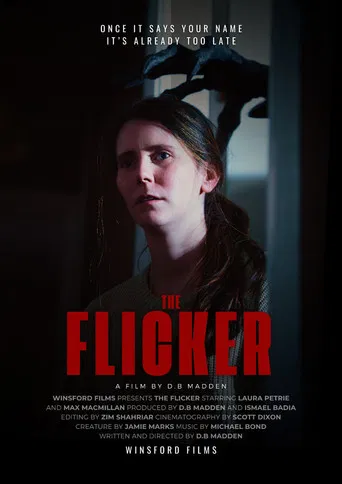 The Flicker poster