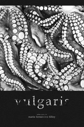 Vulgaris poster
