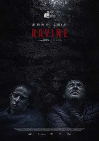 Ravine poster