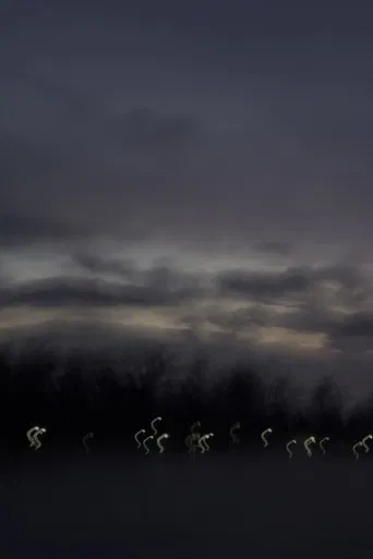 i heard the geese cry poster