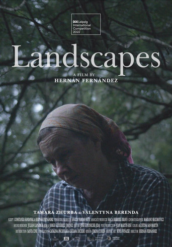 Landscapes poster