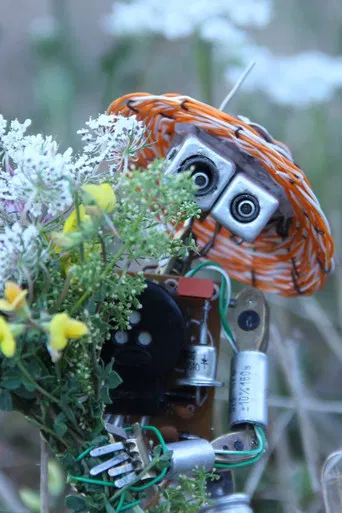 Radio Interference poster