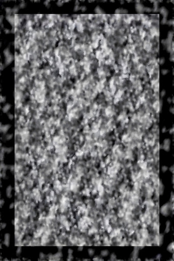 While We Look Down poster