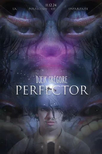 Perfector: Every Day Is The Same poster