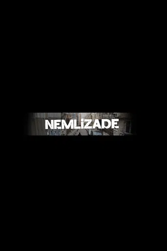 Nemlizade poster