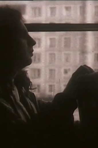 Viktor the Winner poster