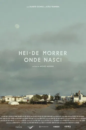 Hei-de morrer onde nasci poster