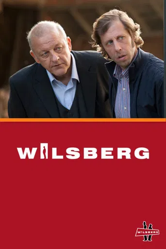 Wilsberg poster