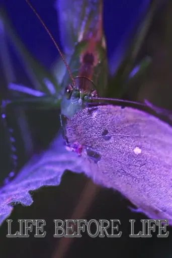 Life Before Life poster