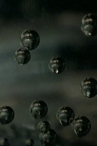 The Salariat in Parts poster