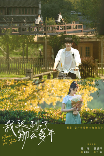 Never Too Late poster