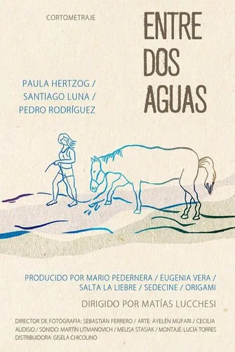Entre dos aguas poster