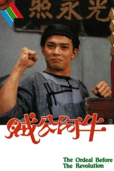 The Ordeal Before The Revolution poster