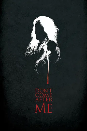 Don't Come After Me poster