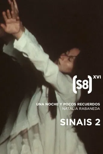 Una noche y pocos recuerdos poster