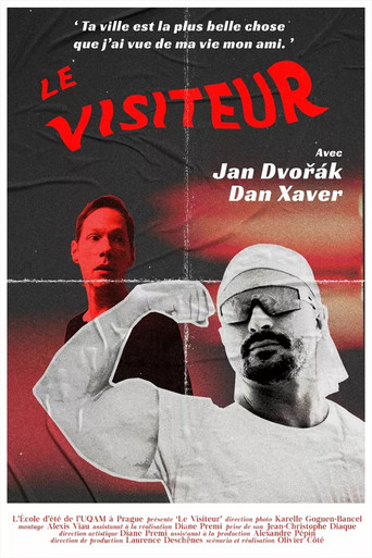 The Visitor poster