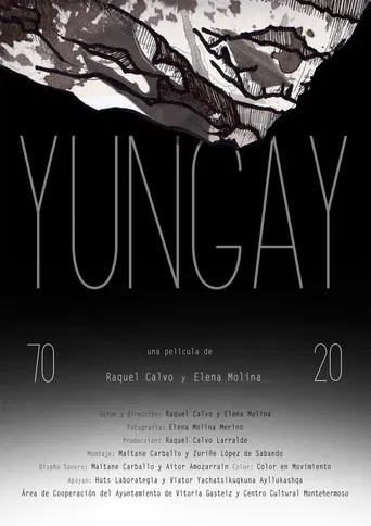 Yungay 7020 poster