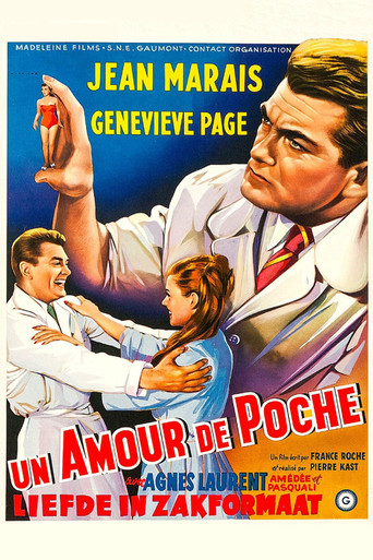 A Girl in a Pocket poster