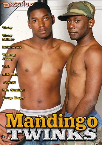 Mandingo Twinks poster