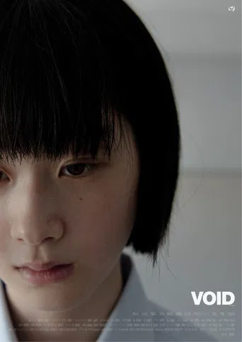 Void poster