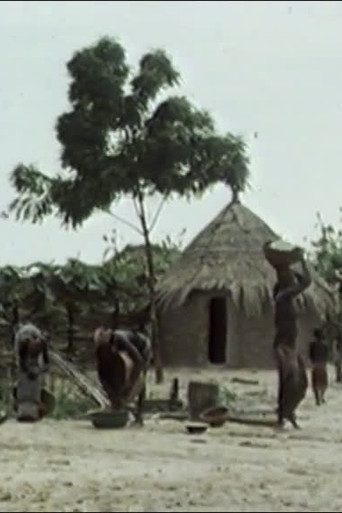 Subsister en savane poster