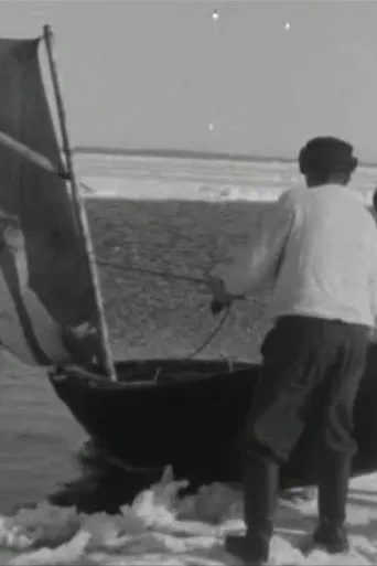 Ülgepüüdäjäd poster