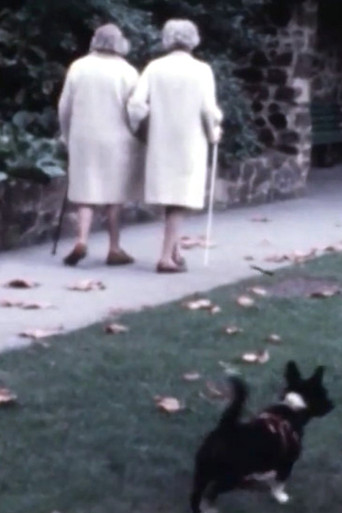 We Are All Alone My Dear poster