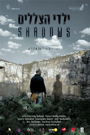 Shadows poster