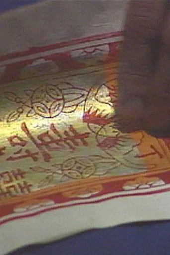 Fighting Chance poster