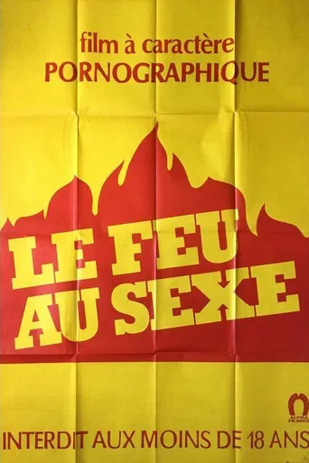 Le feu au sexe poster
