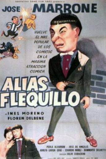 Alias Flequillo poster