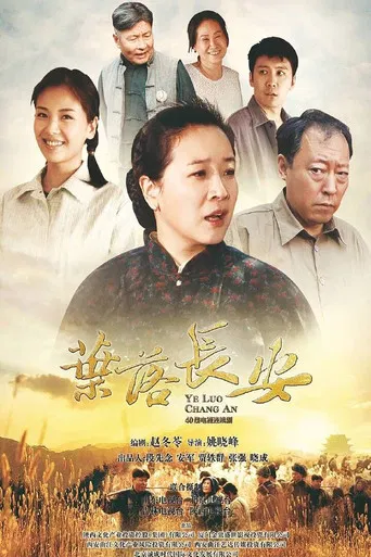 叶落长安 poster