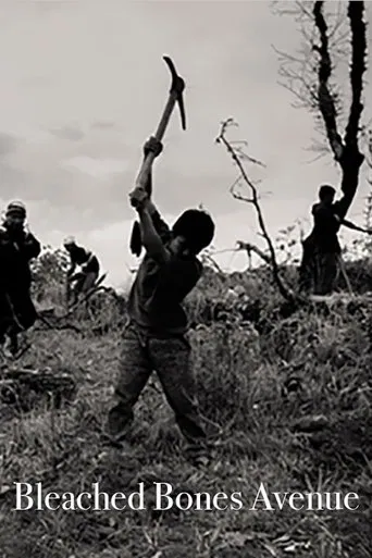 Bleached Bones Avenue poster