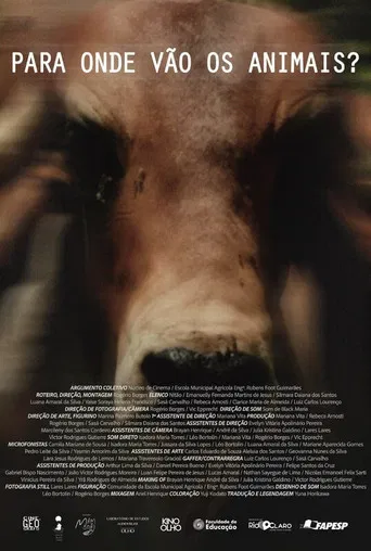 Para Onde Vão Os Animais poster
