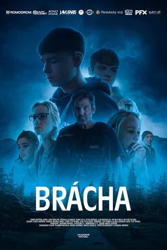 Brácha poster