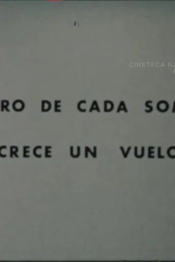 Dentro de Cada Sombra Crece un Vuelo poster