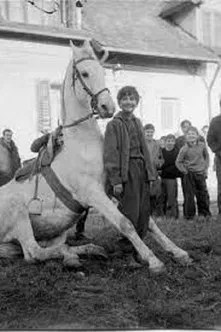 The Time of Horses poster