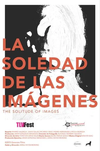 The Solitude of Images poster