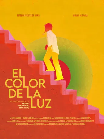 El Color de la Luz poster
