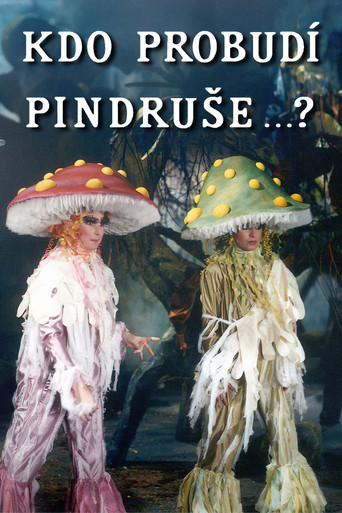 Kdo probudí Pindruše...? poster